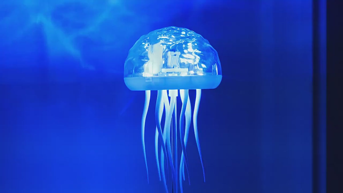 EchoGlow™ Jelly Lamp